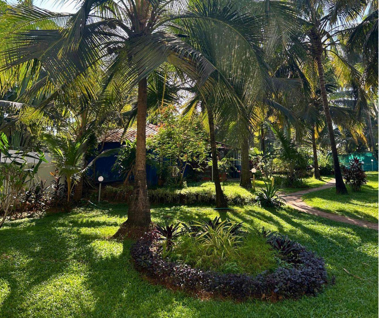 Jungle Hut-Annabelle'S Beach Apartments At Bernard Simao,Calangute,Goa Кандолим Экстерьер фото