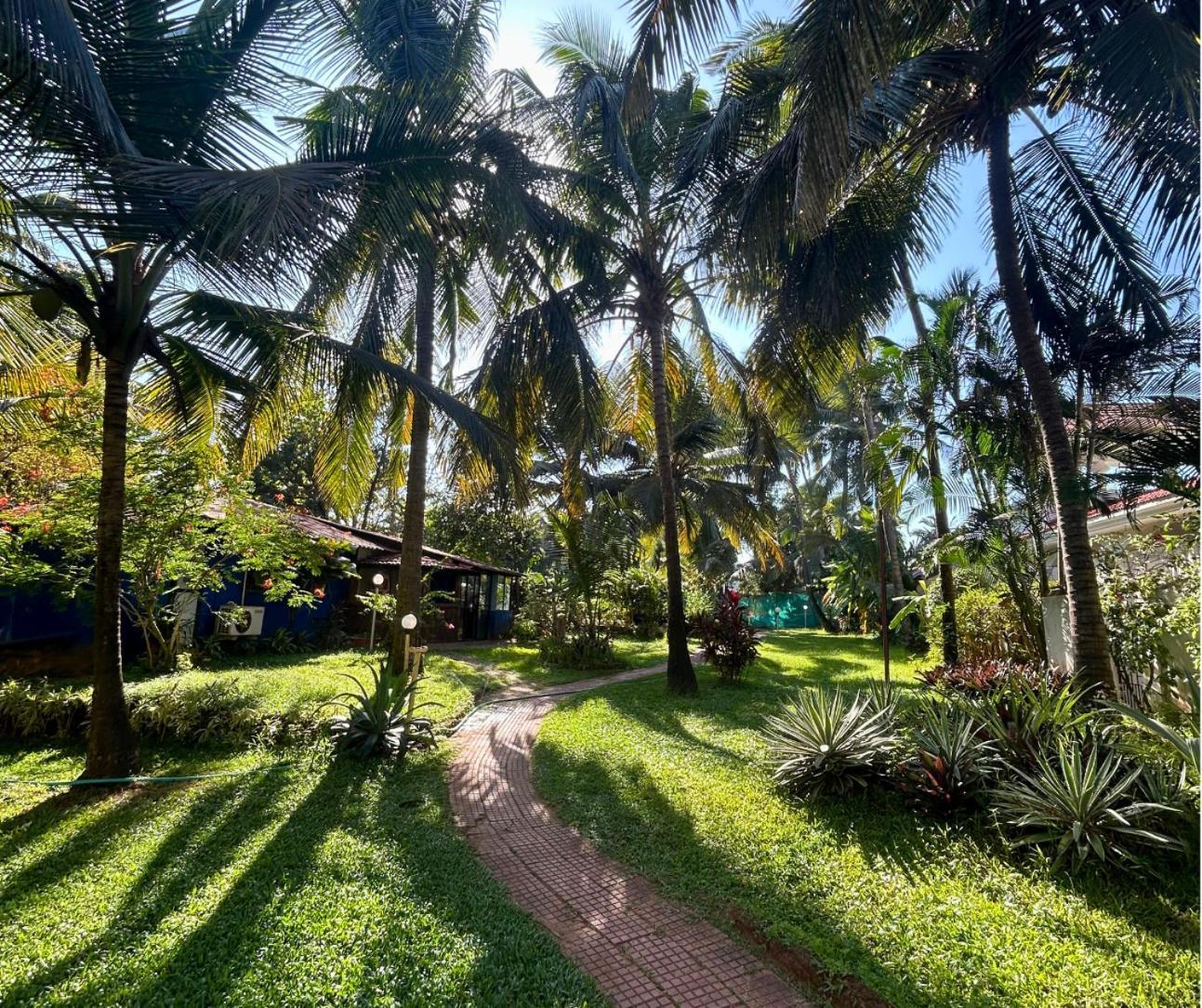 Jungle Hut-Annabelle'S Beach Apartments At Bernard Simao,Calangute,Goa Кандолим Экстерьер фото